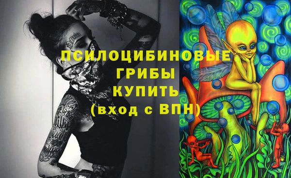 гидра Баксан