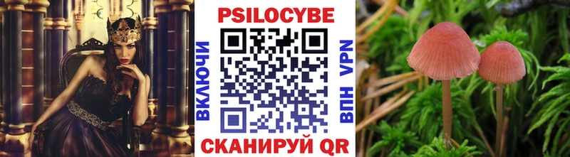 Псилоцибиновые грибы Cubensis Балей