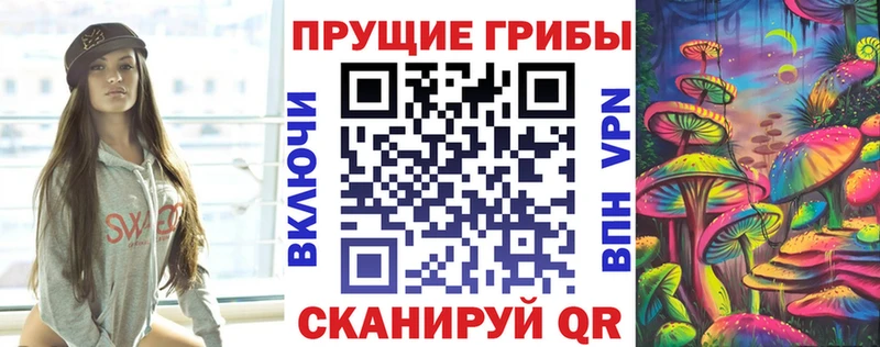 Псилоцибиновые грибы GOLDEN TEACHER  Балей 